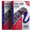 CLF-C01 exam dumps pdf