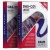 DAS-C01 exam dumps PDF