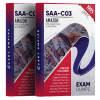 saa-c03 exam Dumps pdf