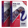 SOA-C01 exam dumps PDF