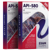 api-580 exam dumps pdf