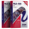 bl0-100 exam dumps pdf