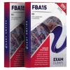fba15 exam dumps pdf