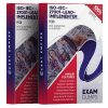 iso-iec-27001-lead-implementer exam dumps pdf