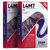 l4m7 exam dumps pdf