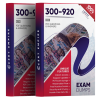 300-920 exam dumps pdf