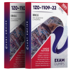 1z0-1109-22 exam dumps pdf