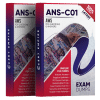 ans-c01 exam dumps pdf