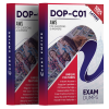 dop-c01 exam dumps pdf