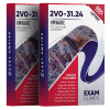 2v0-31.24 exam dumps pdf