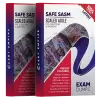 scaled agile safe-sasm exam dumps pdf