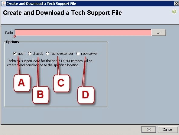 cisco 010-151 exam demo question