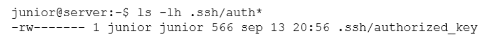 comptia xk0-005 exam demo question