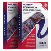 agileba-foundation exam dumps