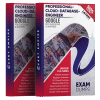 professional-cloud-database-engineer exam dumps