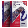 cybersecurity-audit-certificate exam dumps